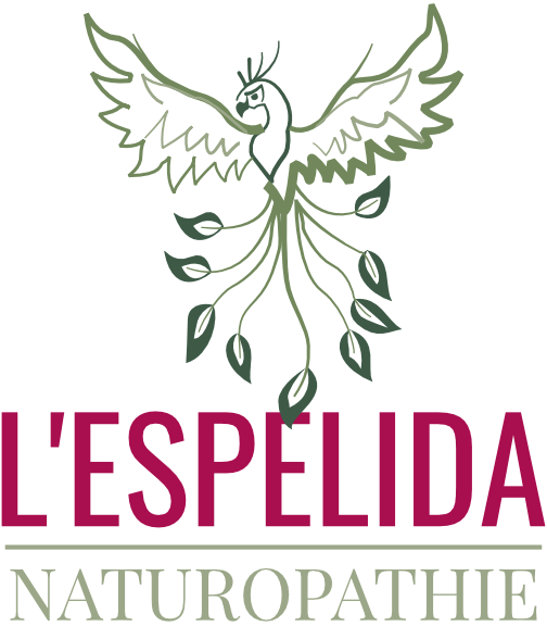Logo L'Espelida